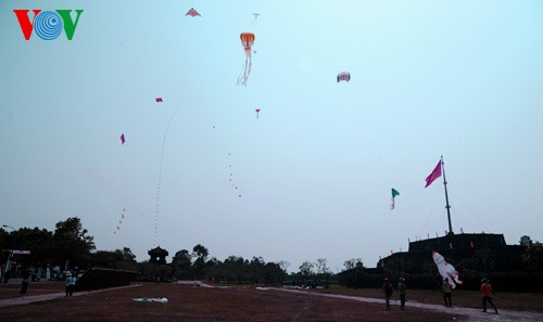 Kites soar over Hue skies - ảnh 18